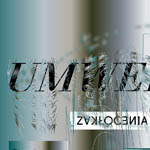  „ZAKŁÓCENIA/UMWELT” (fragment plakatu)