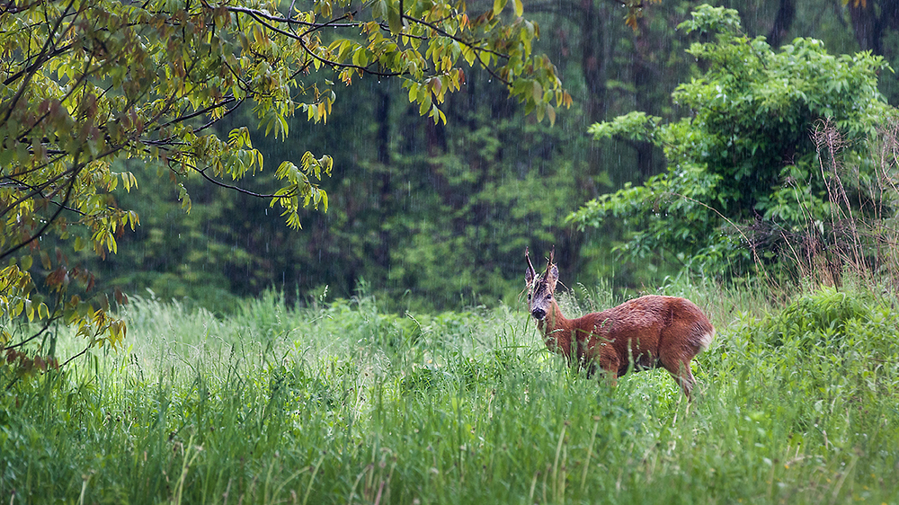 Konkurs fotograficzny „Natura to za mało?”