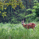 Znamy zwycięzców konkursu fotograficznego „Natura to za mało?”