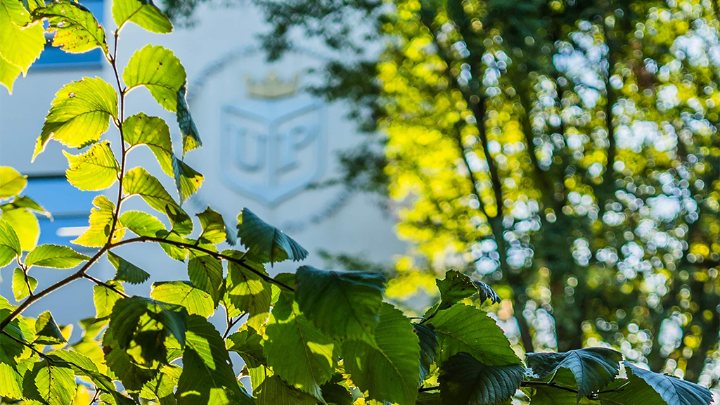 budynek Uniwersytetu Pedagogicznego wśród zieleni