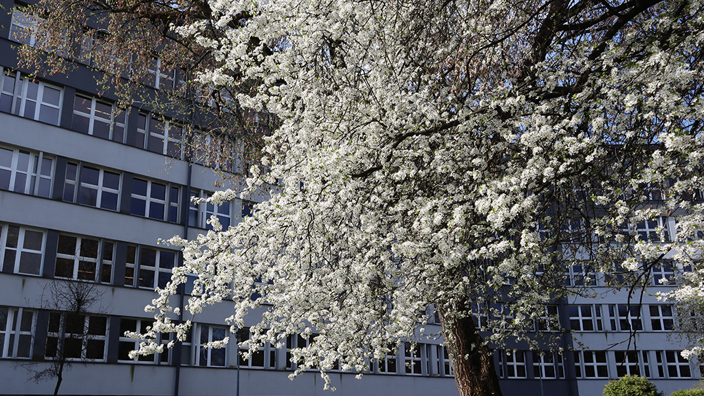 budynek główny Uniwersytetu Pedagogicznego od ul. Podchorążych