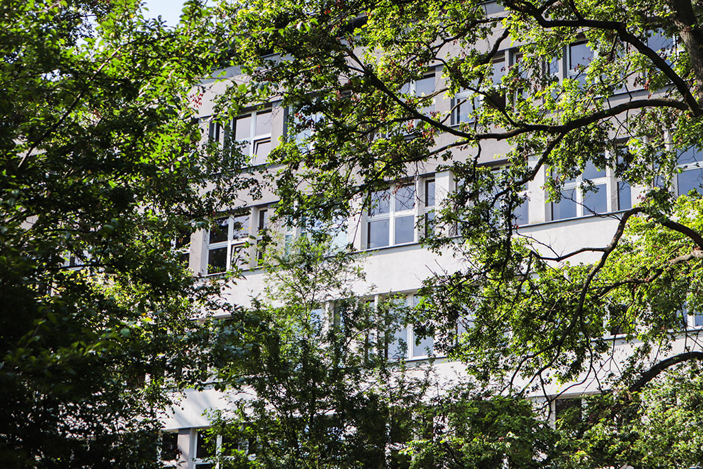 Organizacja procesu dydaktycznego 27 29 maja 2024 roku