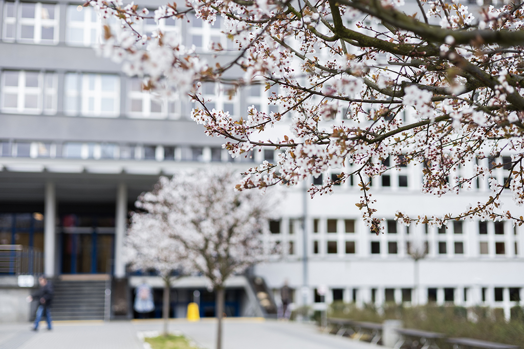 budynek główny Uniwersytetu Komisji Edukacji Narodowej w Krakowie