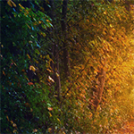 Spotkanie autorskie z dr Anną Kamińską‑Malandain (fragment plakatu)