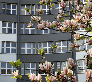 ul. Podchorążych 2 – główny budynek