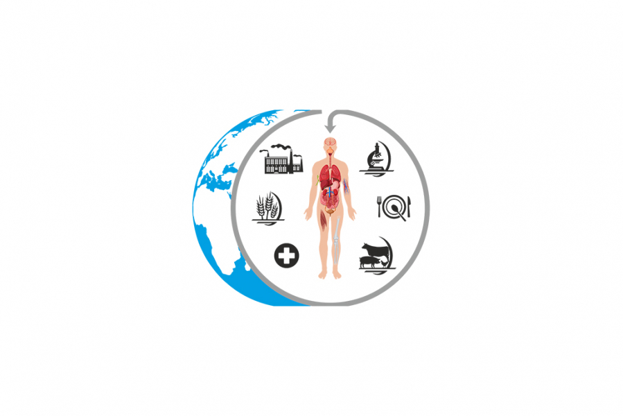 miedzynarodowa-konferencja-risk-factors-of-food-chain