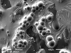 Stopy z niemieszalności