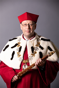 prof. dr hab. Piotr Borek prof. dr hab. Piotr Borek